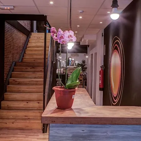 Ole Backpackers אכסניה