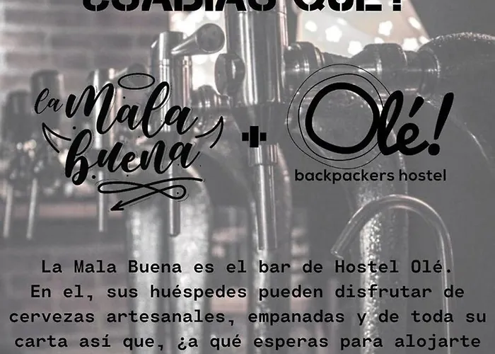 旅馆 Ole Backpackers