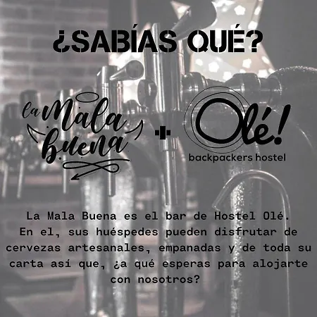 Hostel Ole Backpackers